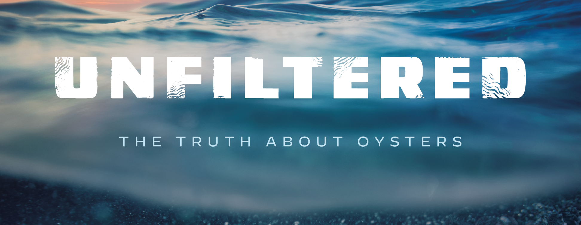 UNFILTERED - The Truth About Oysters - Florida Climate Week Screening & Panel